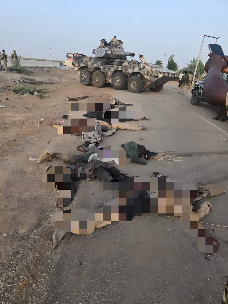 尼日利亚陆军从我国进口的ST-1突击炮和尼军击毙的武装分子。