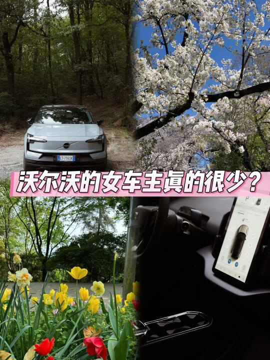你身边有沃尔沃的女车主吗？真的很少？
