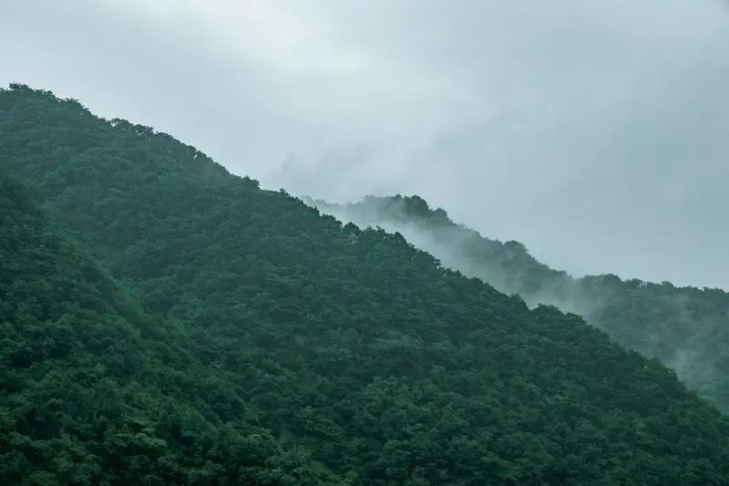 “雨打高山绿”这上联，就像一幅诗意盎然的画，雨滴敲打着高山，让山更绿了。下联的选