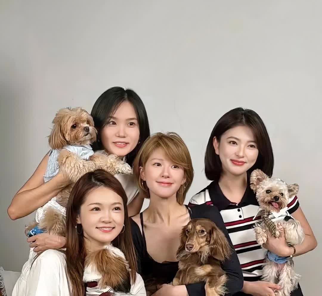 我说赵露思最近怎么没动静了原来是换圈玩了！人家现在不混娱乐圈了，