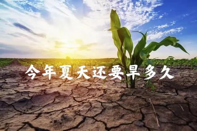 “今年夏天还要旱多久，就看四月十五”，今日四月十五，今年夏天会有大旱吗？看农谚咋