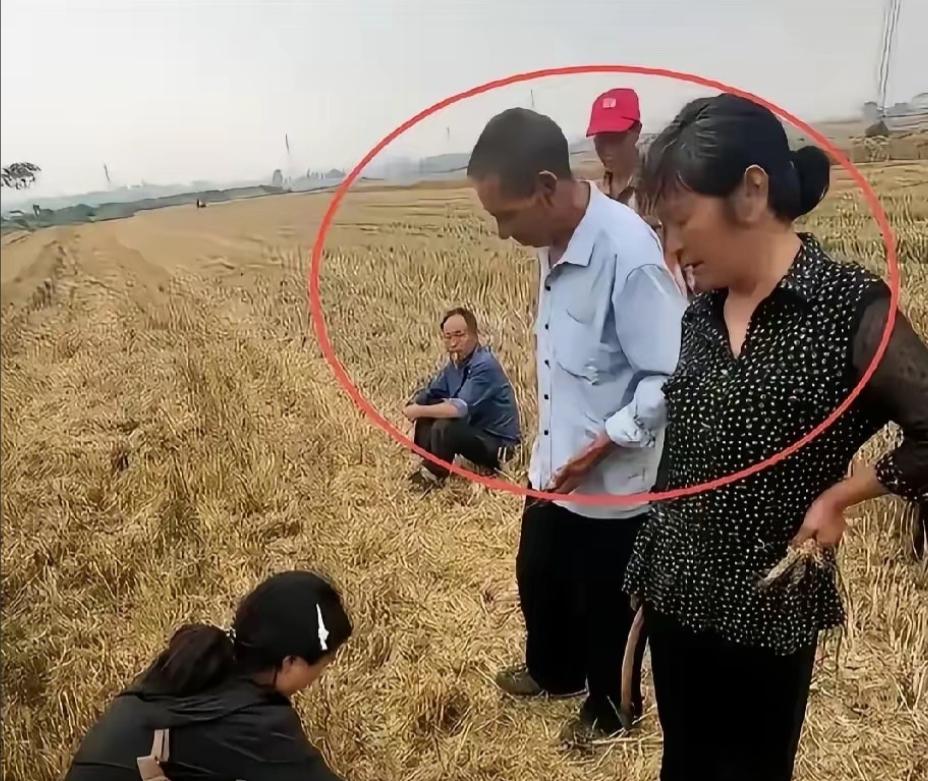 作为湖北人，说句公道话，那户人家你们自己心里好好掂量掂量。5月中下旬襄阳536万