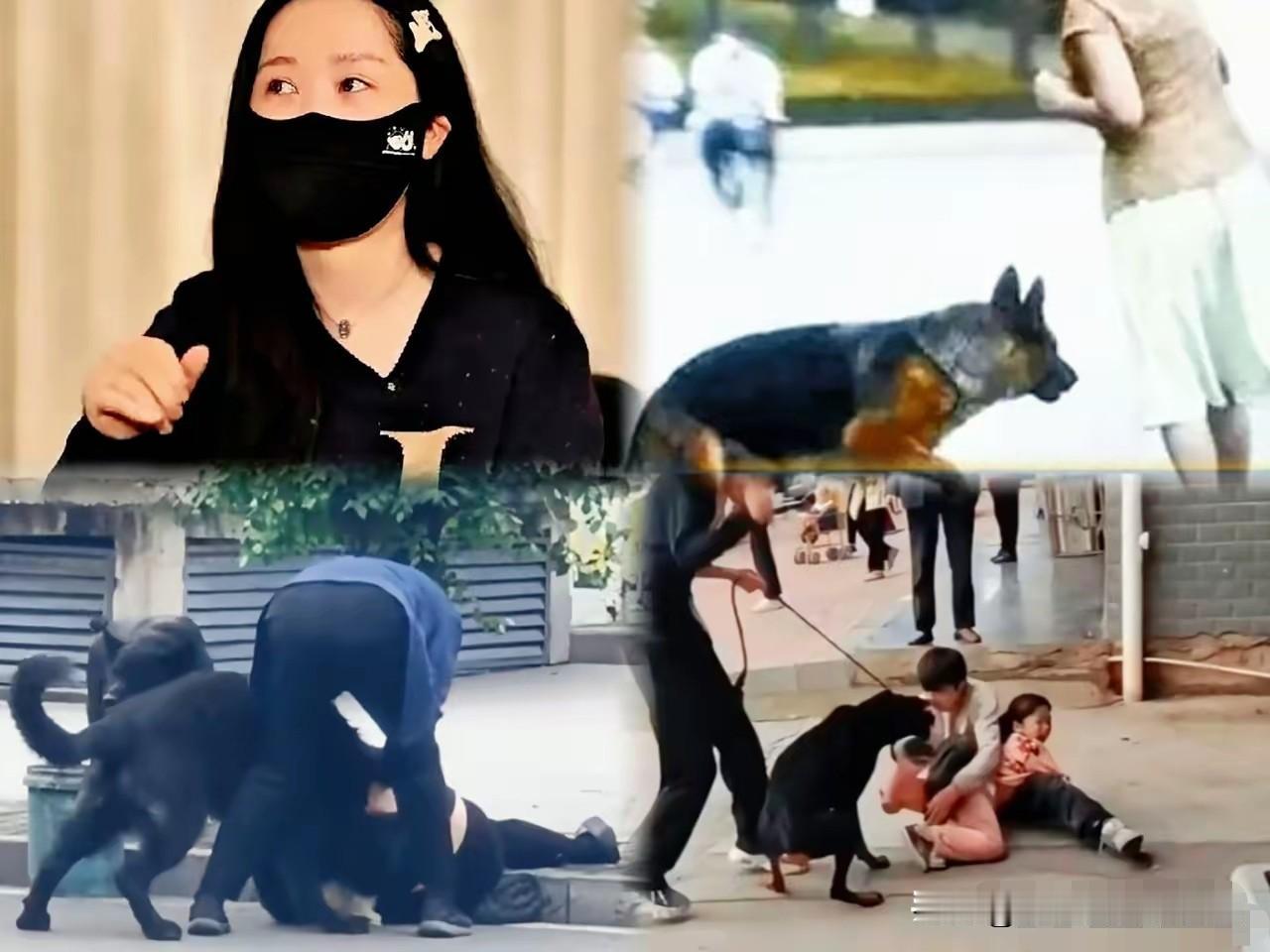 这事越看越不对劲！有网友提出，狗咬人事件频发，狗主人作为狗的主人，对狗没有管理