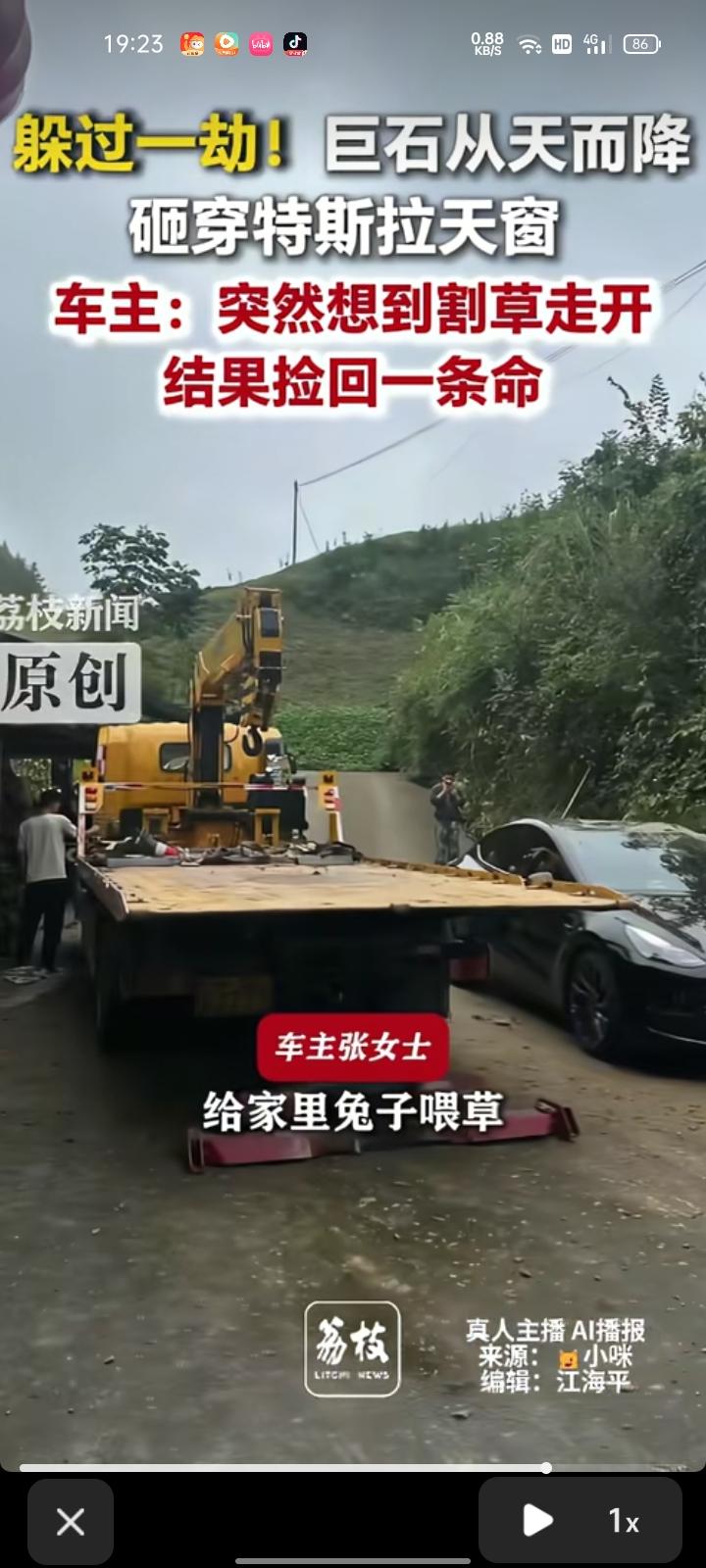 9月29日，重庆。一对情侣放假回家，两人正准备上车休息，张女士想起家里的兔子没草