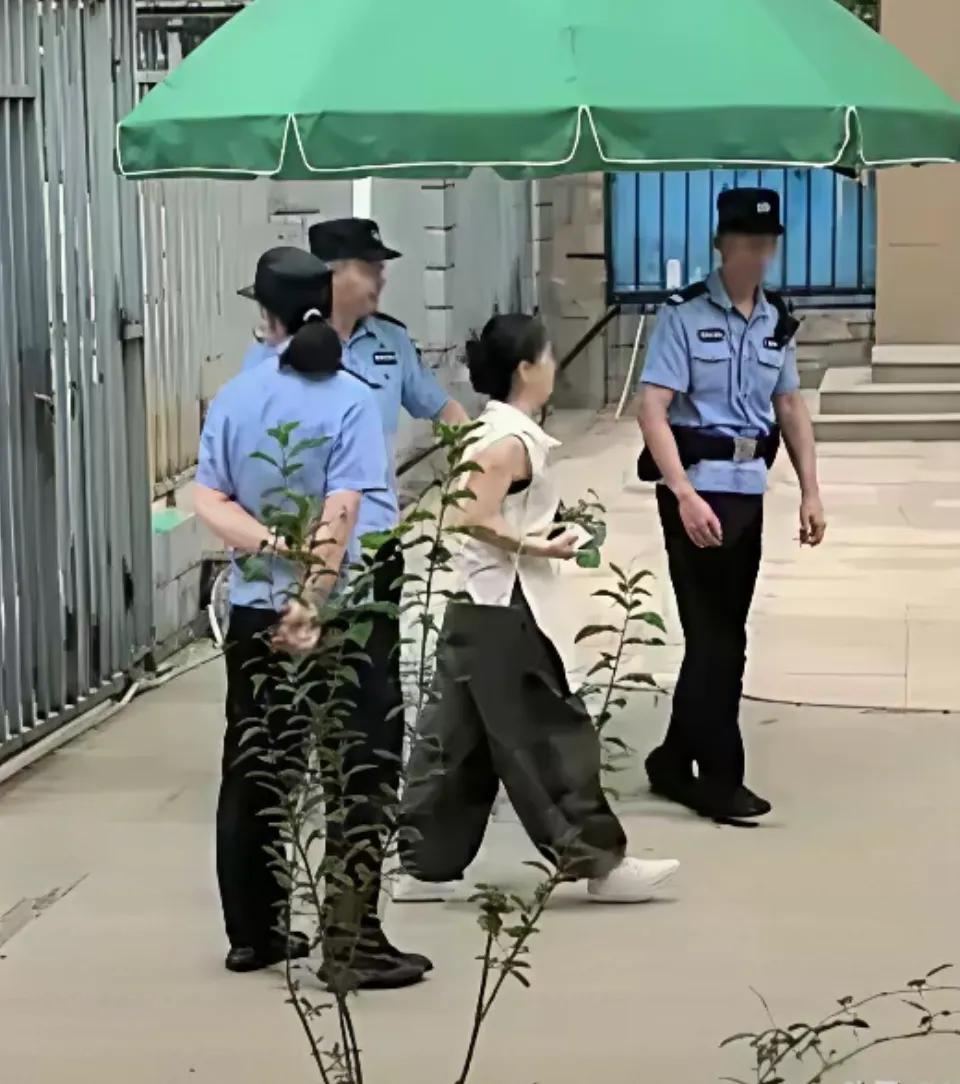 小熊独自一人进了f庭！许姚一身黑衣走上f庭。熊母在外面等候，杜郭今天很消停，不