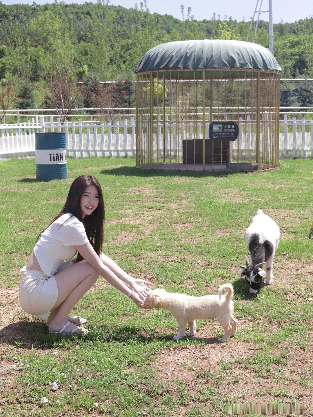 你也喜欢小动物吗​​​