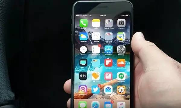13369475753265498836.jpeg?id=0