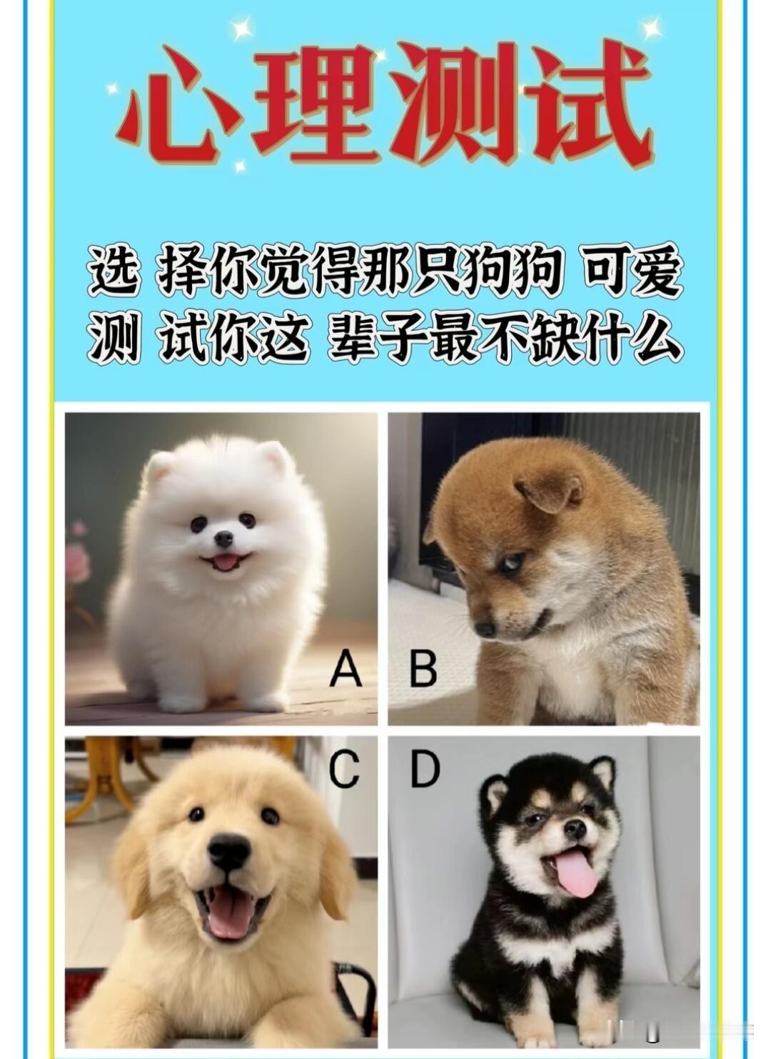 选择你觉得那只狗狗可爱测试你这辈子最不缺什么