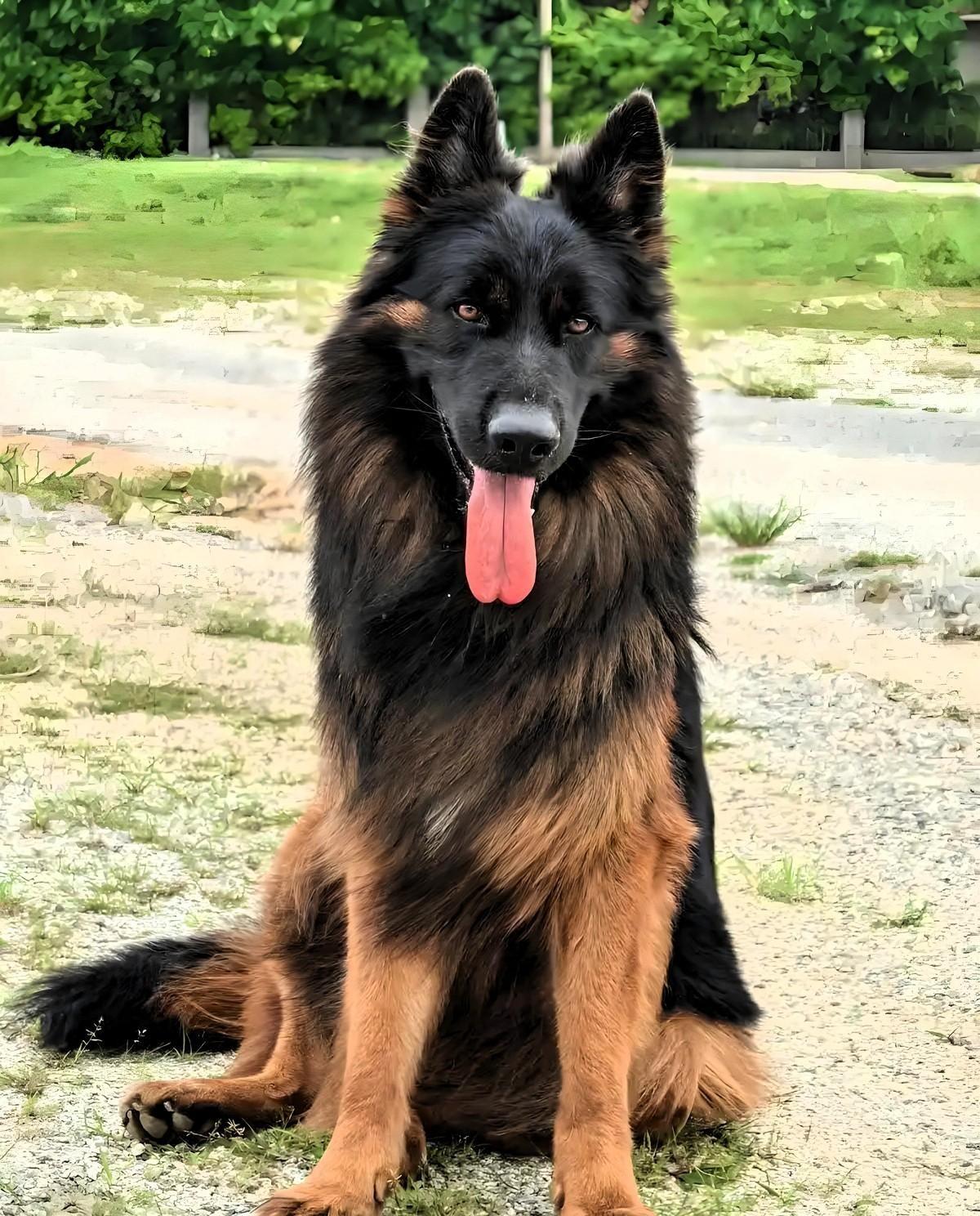 真是开了眼了！山东一家老小跨越两千公里去云南自驾游，本想着开开心心过个年。结果老