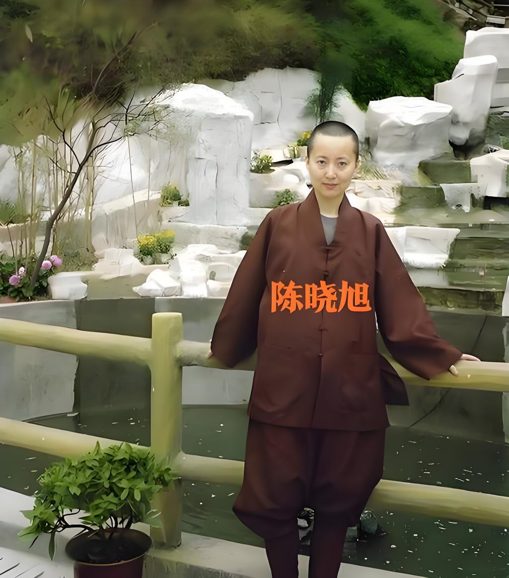 陈晓旭（41岁）：“林黛玉”的化身，2007年因乳腺癌病逝，命运与角色惊人重合。