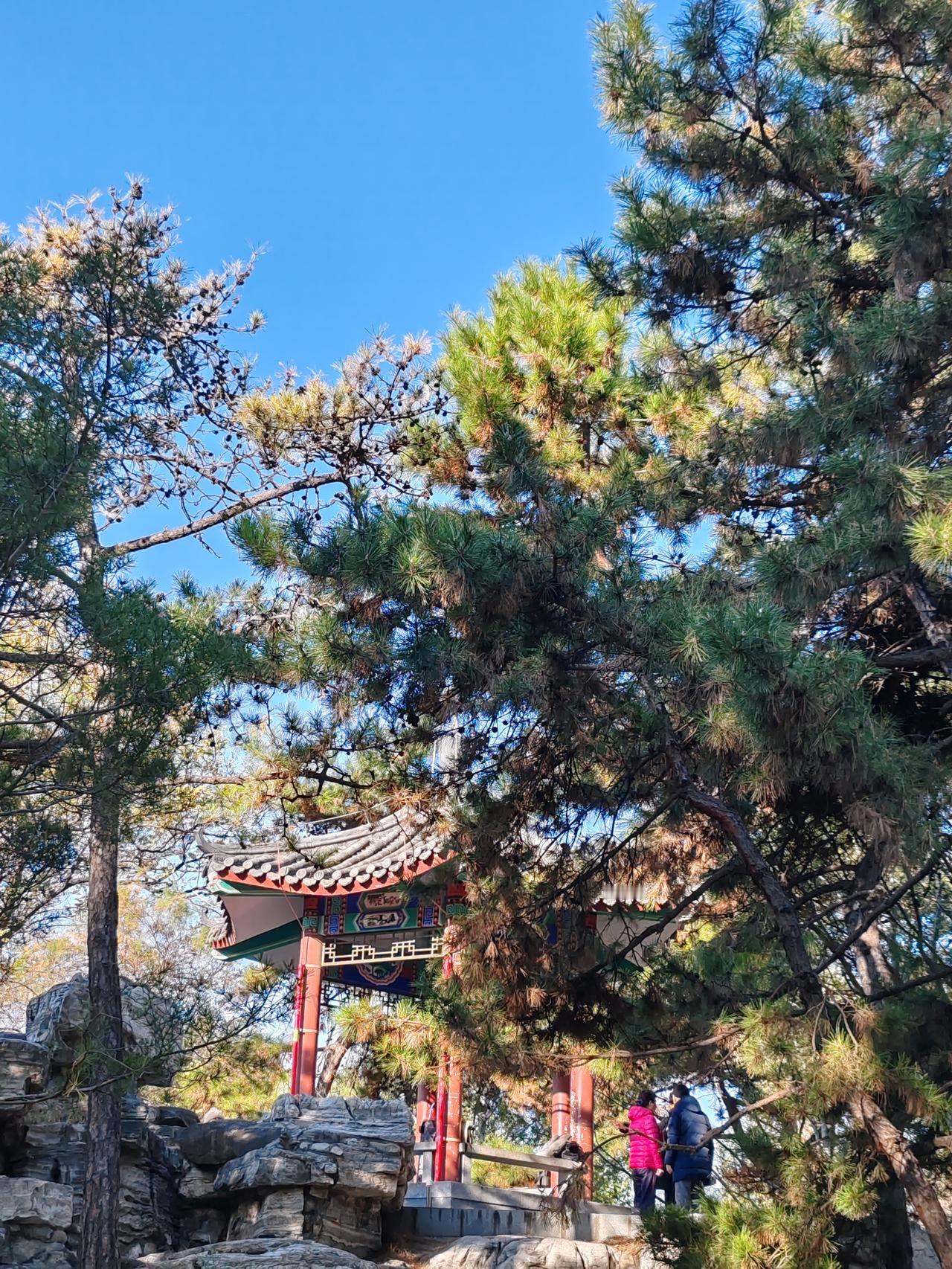 晒出你近期的原创摄影作品随手一拍。