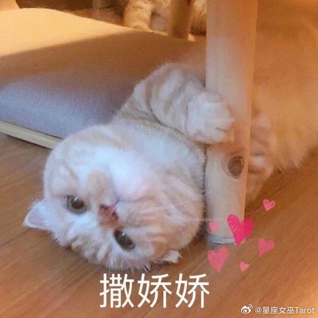 十二星座「什么样的暗示就是喜欢你」白羊座：主动找你，而且不找借口金牛座：主动买单