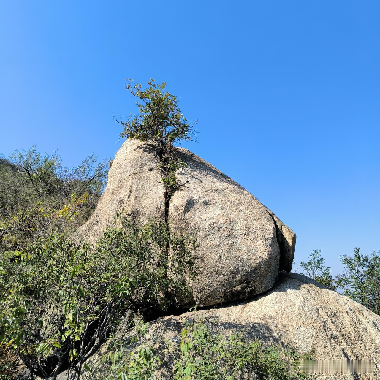 昨天傍晚瘦哥回到家，坐在沙发上一声不吭昨天下午瘦哥给我打电话，说他下班后去父