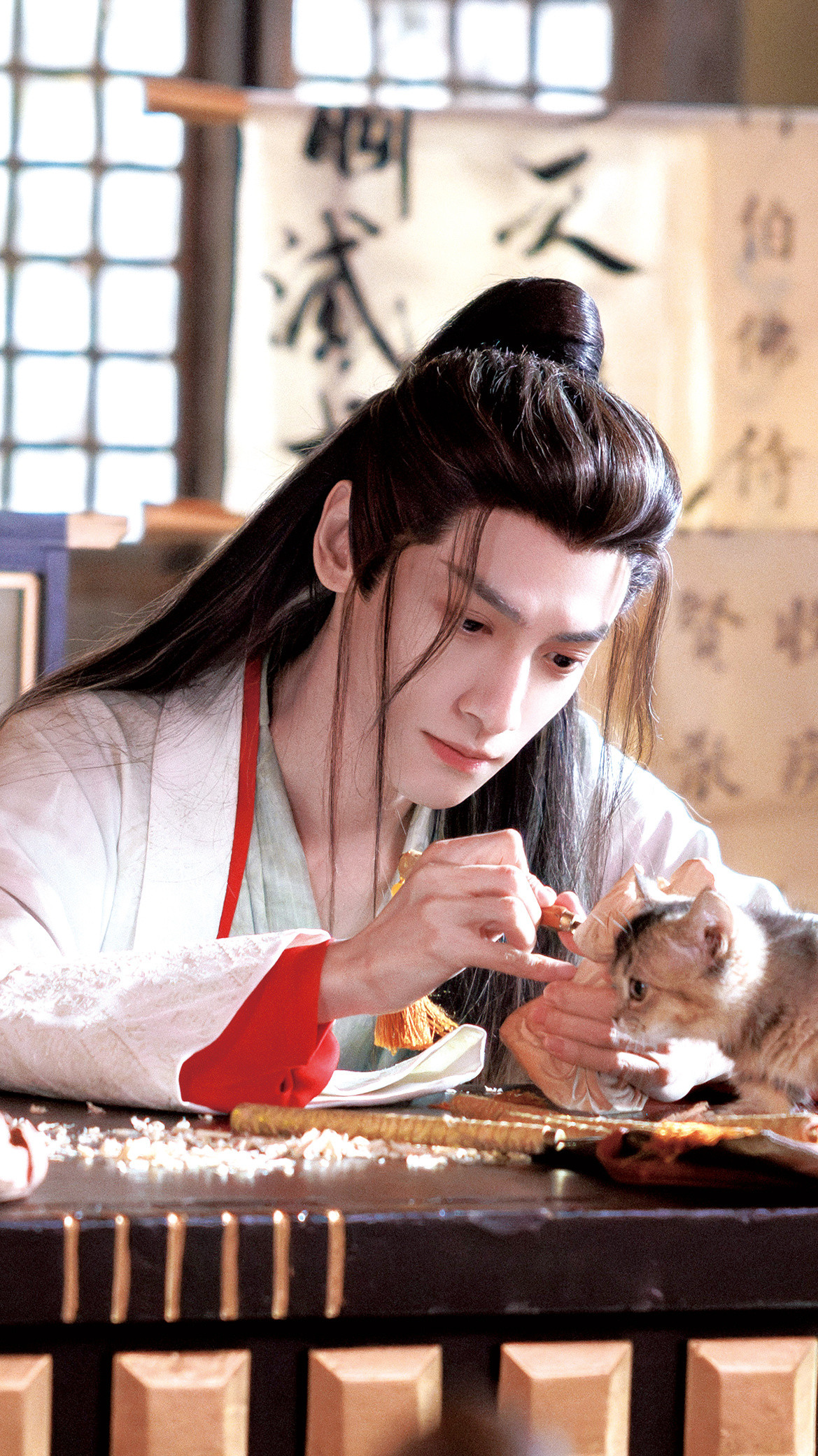 和小猫在一起的场景我太喜欢了