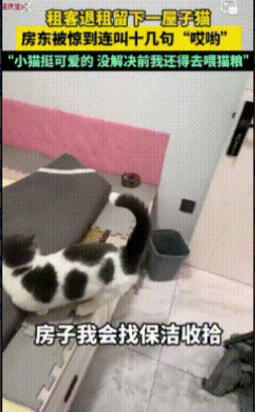 “这一定是惊喜！”辽宁沈阳，白先生在租客离开、验收房子的时候，突然被遗留房间中的