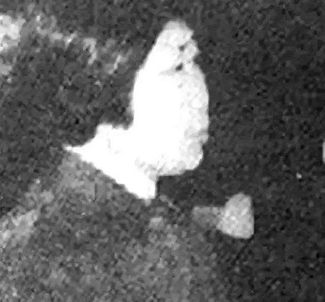 1976年10月，曾经名噪一时的风云人物王秀珍，突然在一夜之间销声匿迹，外界对她