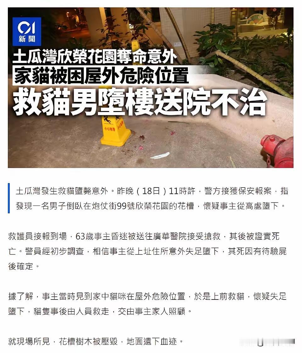 2月18号大年初二晚上11钟左右香港土瓜湾一个63岁男子为了救自己的宠物猫不幸失