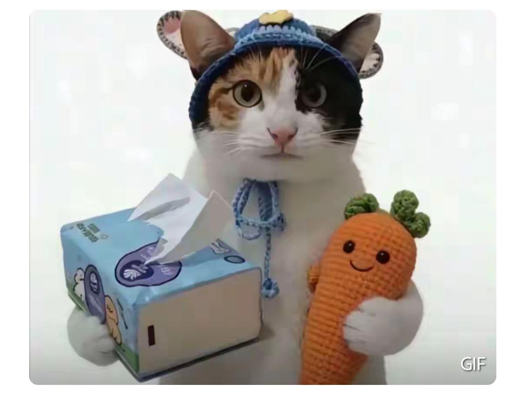 一只学不会分辨萝卜和纸巾的猫，为什么成了全网模仿的热梗？事情的起因很简单：一