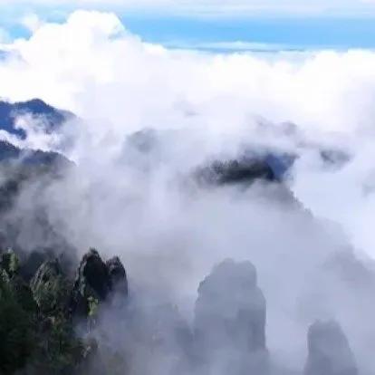 10月15日的一场秋雨过后，湖北神农架3000多米的神农顶上出现了一道令人惊叹的