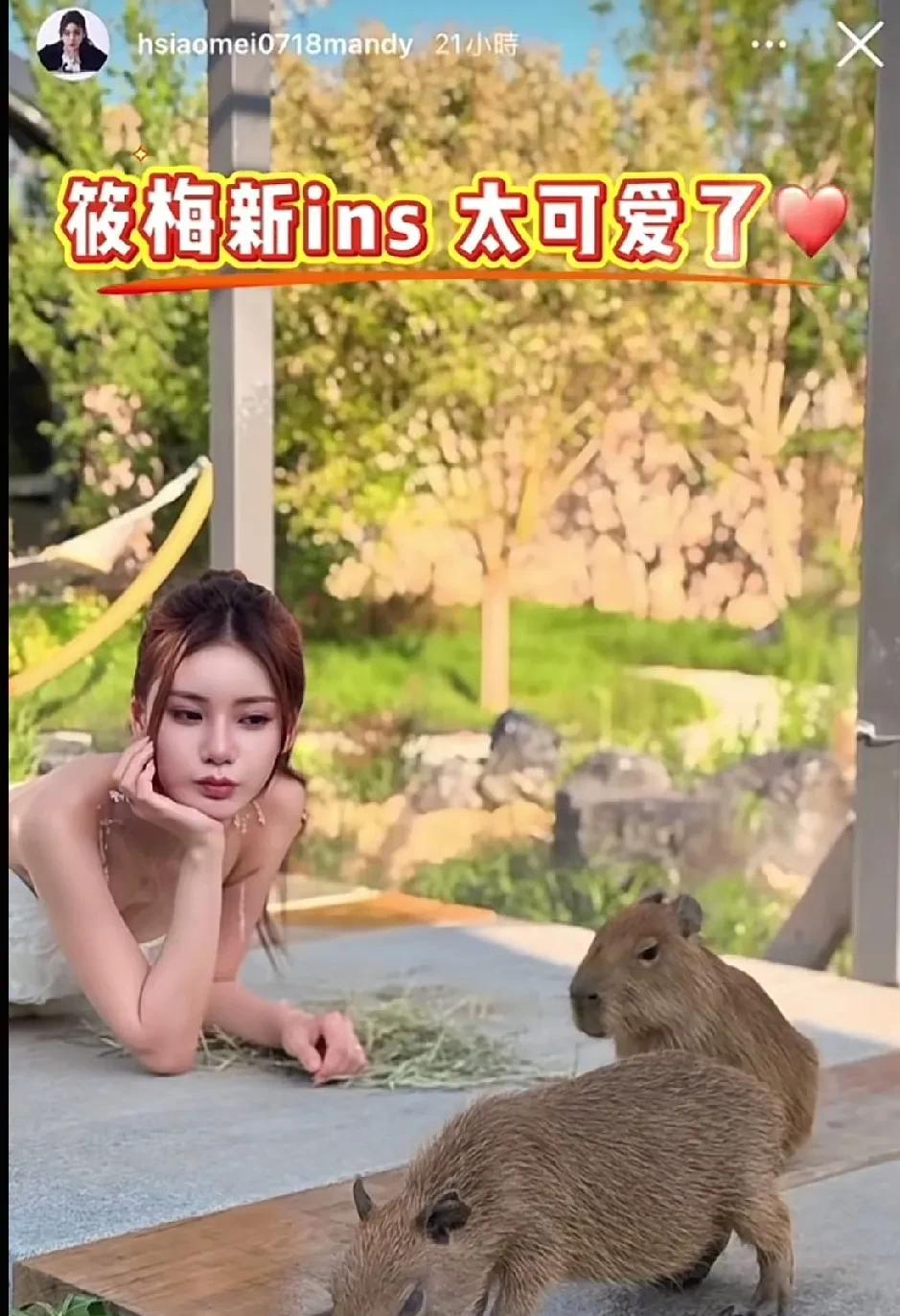 马筱梅更新了ins，遇到可可爱爱的水杯，又给玥儿买了，还给自己也买了一个黑皮ki