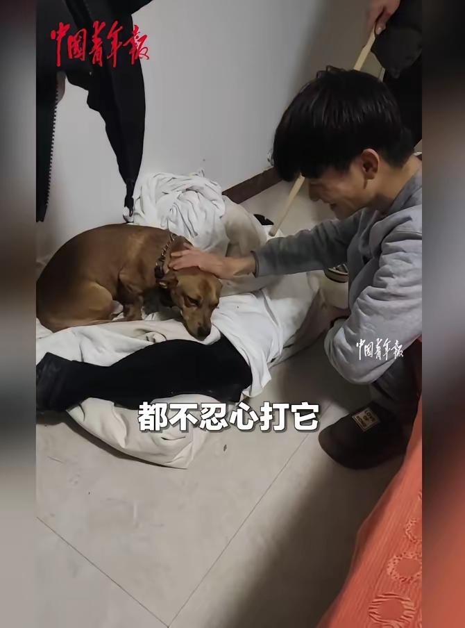 我妈妈家养了一条小土狗平时狗狗是栓了绳子的，冬天白天给狗狗一口闲置的水缸倒在地