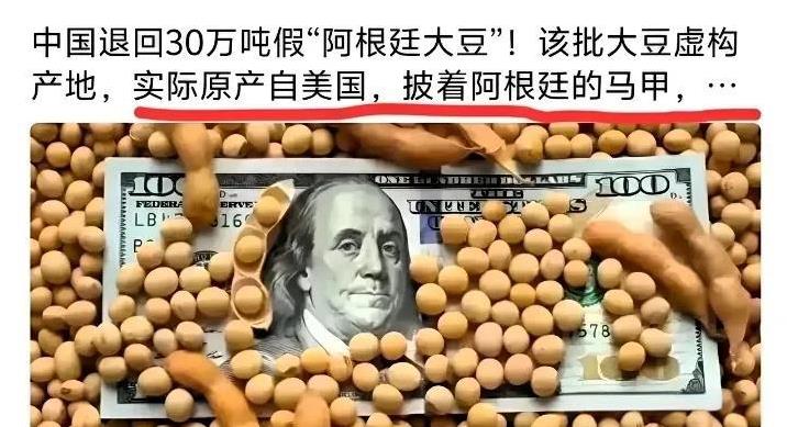 30万吨假“阿根廷大豆”被咱们中国退回去啦！说出来你可能不信，这批大豆其实是美国