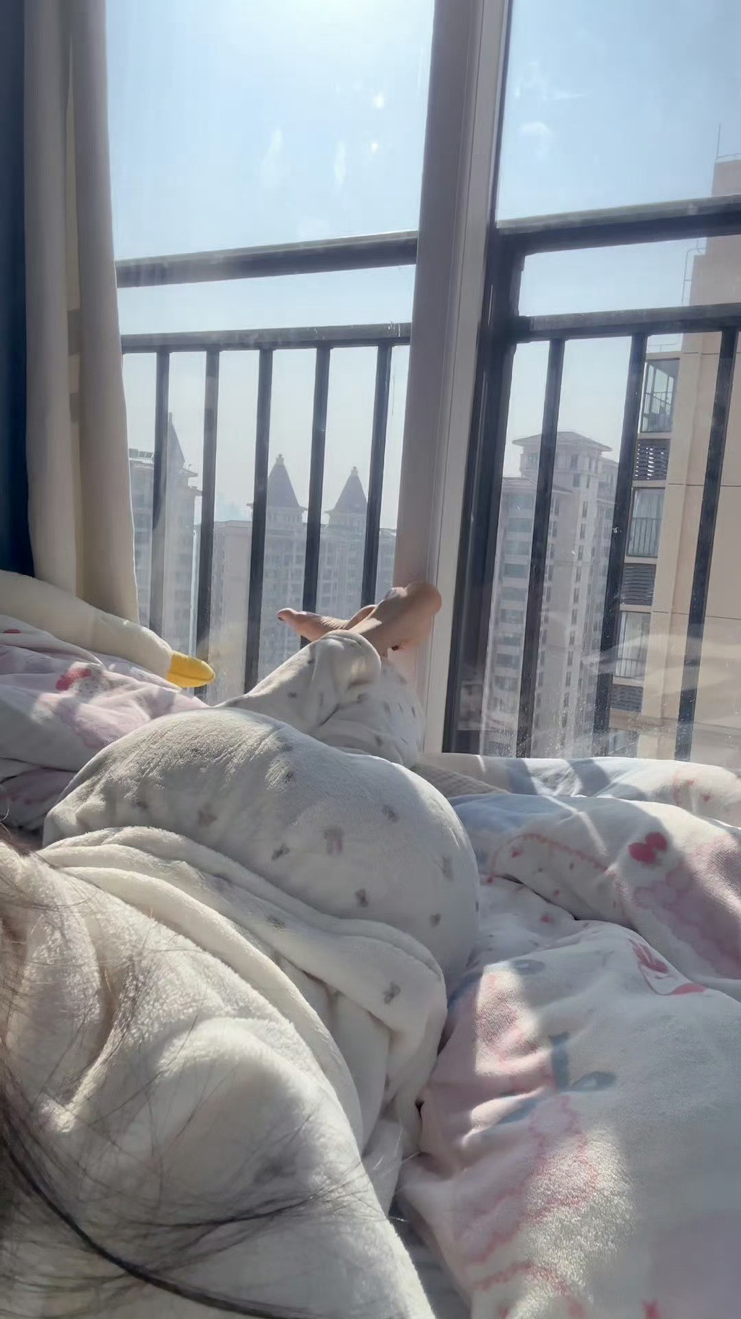 阳光刚好，缺一个和我一起晒太阳的人🌞