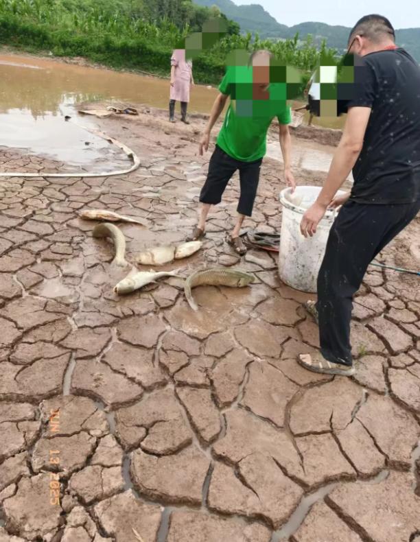 今年四川遭遇了百年难遇的大旱，专家的话一针见血：“这是一次极其罕见的干旱。”虽