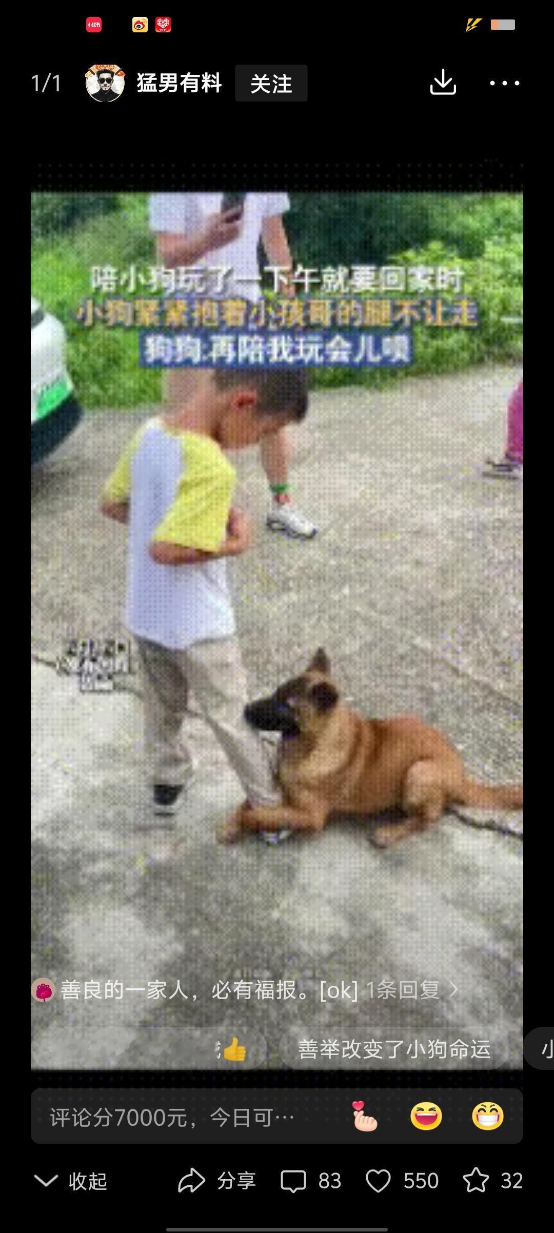 解释不清啦!湖南,有一家人出去游玩的时候,男孩瞧见一只饿得缩成一团的流浪狗,就顺