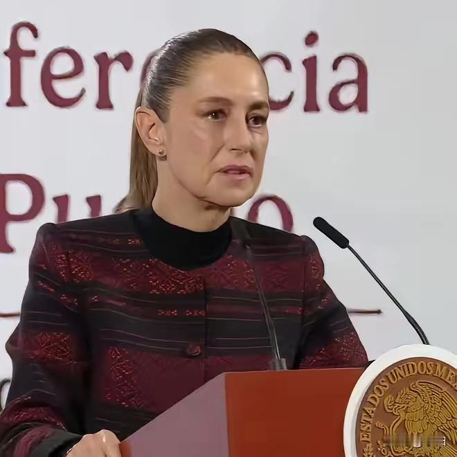 新消息，墨西哥宣布了。2月3日消息，智利、巴西和墨西哥三国政府联手向联合