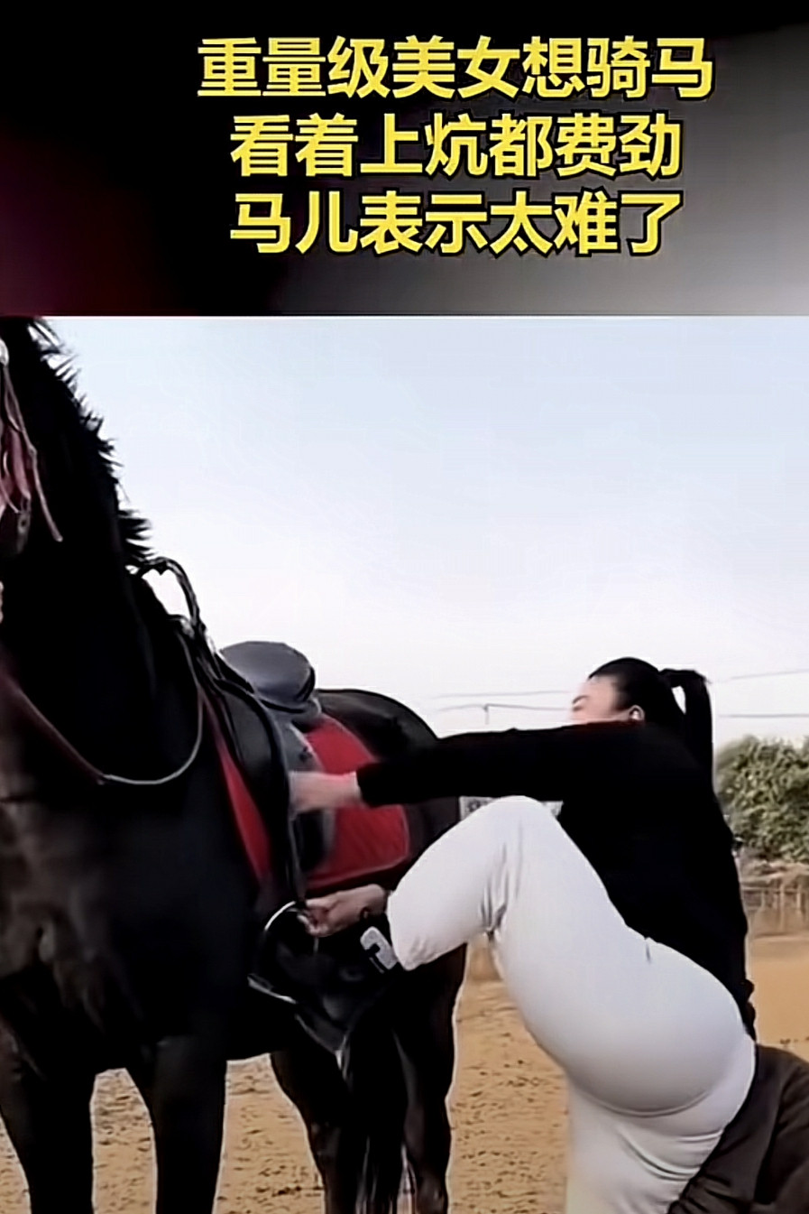 比马腿粗，不过我喜欢