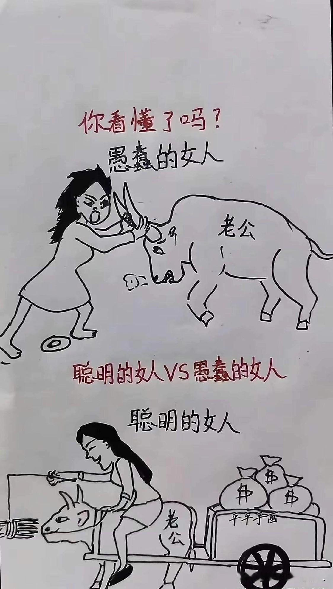 聪明女人VS愚蠢女人