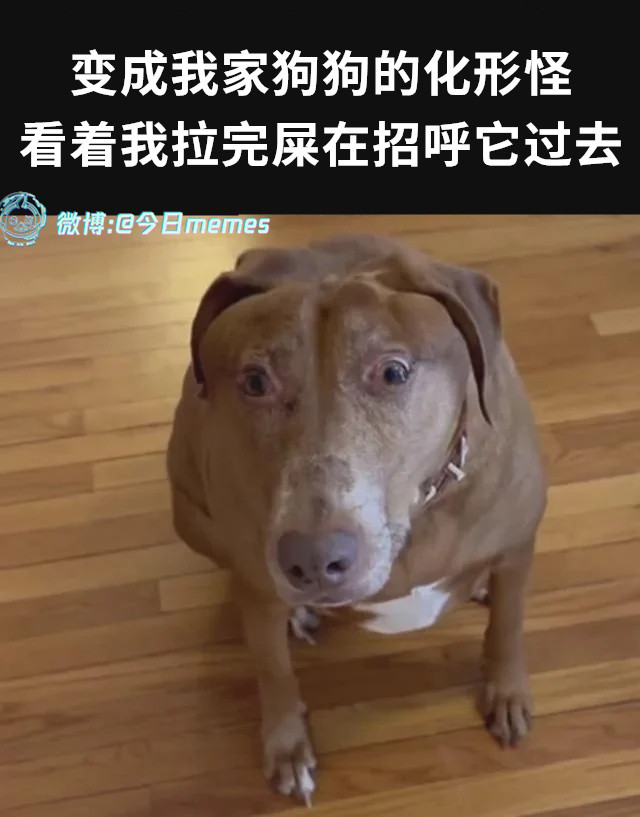 趁热乎（9gag）今日meme今日memes