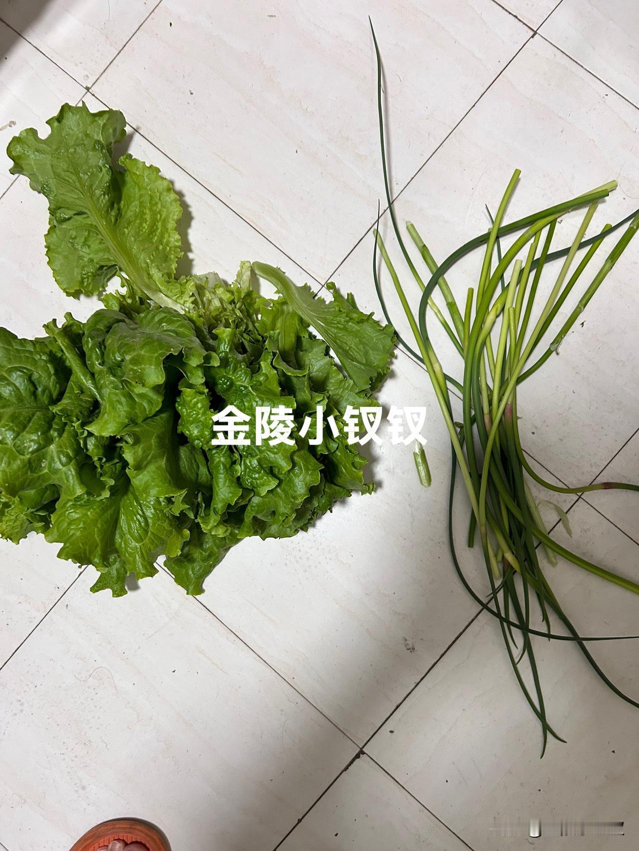 收获了，赚到了！今天依然没有见到在我家小院种菜的人，但看见了给我家小院浇水的