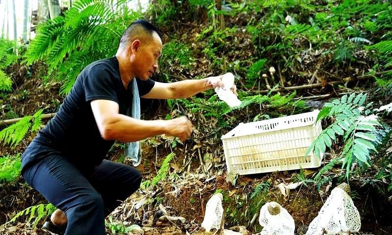 中国蛇类资源最丰富的省份有云南、广西和福建。云南毒蛇种类最多，广西和福建稍少些