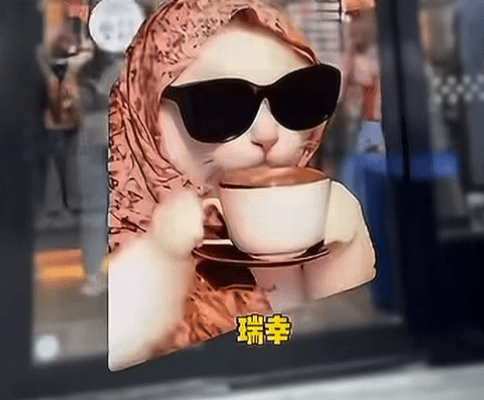 看瑞幸和蜜雪冰城的段子，发现了一只好可爱的优雅猫猫​​​