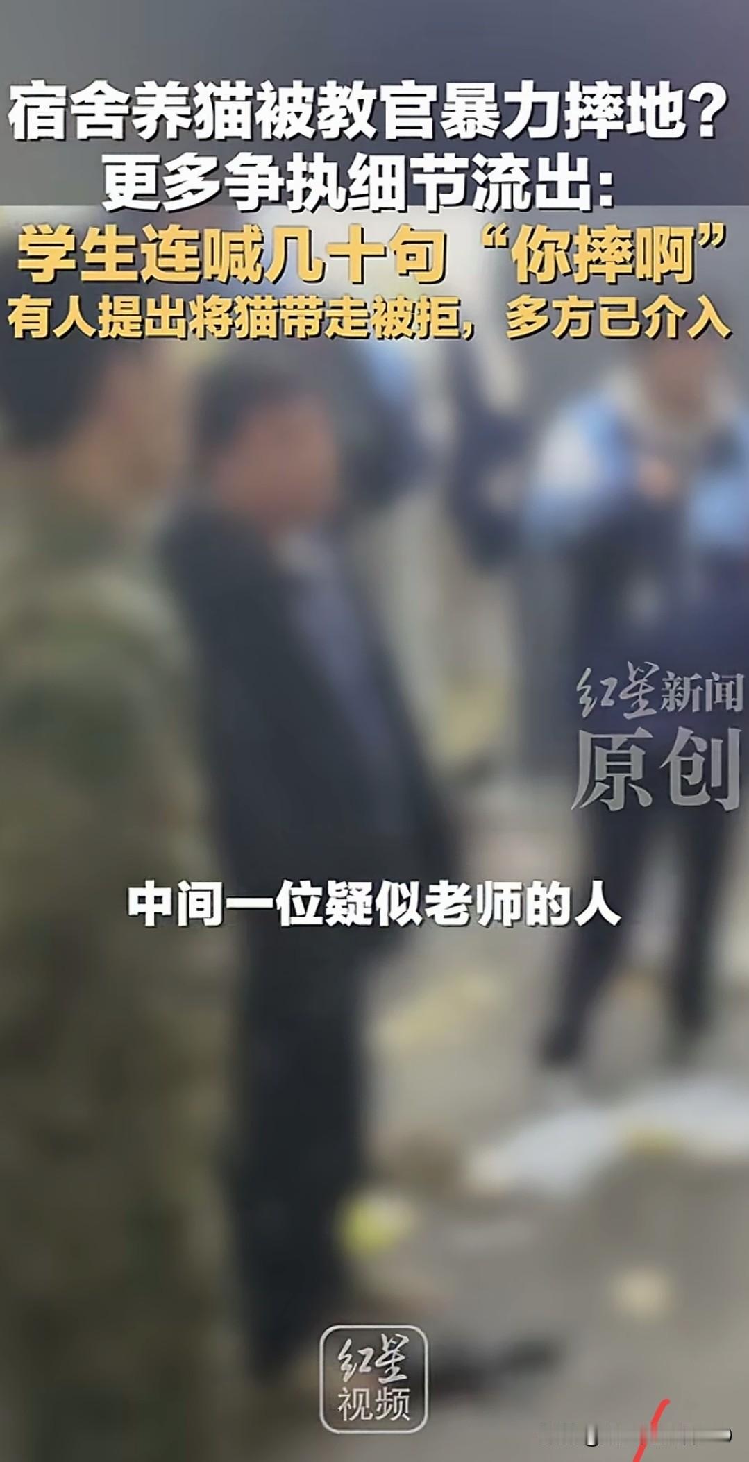 学校教官摔猫事件处理结果出来了：已经辞退并要求其赔礼道歉。首先教官的身份不是教