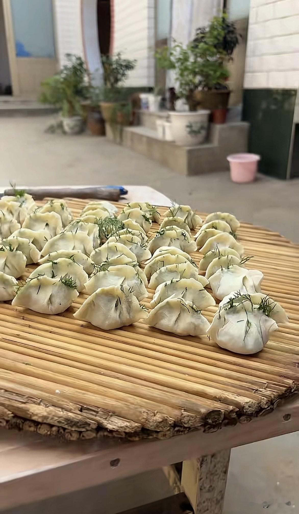 不懂就问，长出芽的饺子，这是什么馅？[滑稽笑]