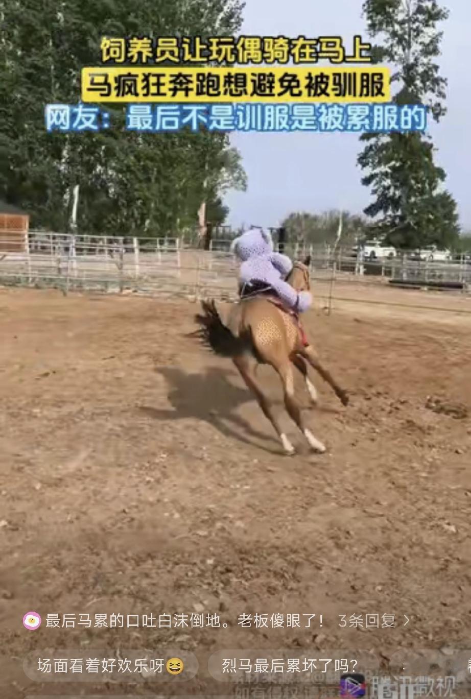 一位马厂老板在驯服一匹烈马时，被它再三摔下马来，心里十分窝火，便决定报复这匹不识
