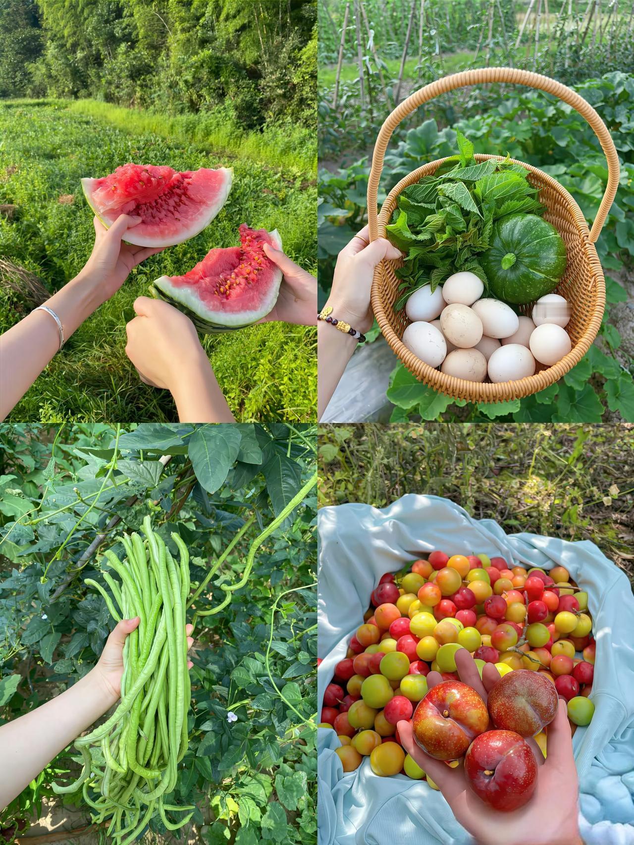 你们有没有发现？农村老人有一个通病。儿子媳妇把他接到大城市里享福，一开始他