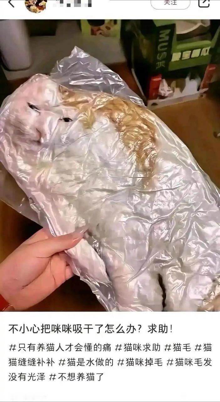 虽然看起来很假，但是能搞出这种问题，也是人才了​​​