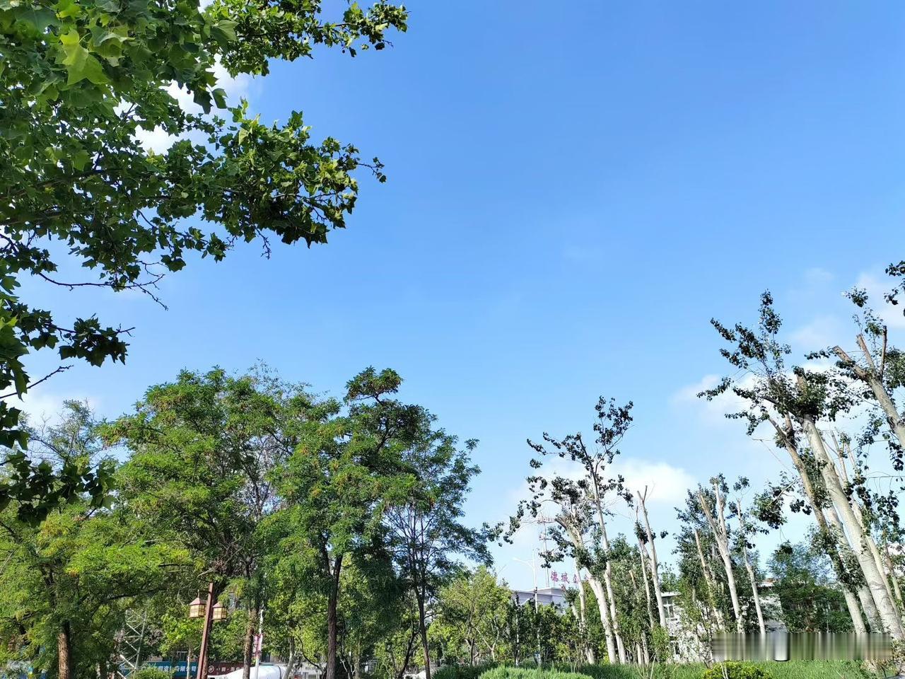 女同学说她老公72年的，才53岁，就已经被社会给淘汰了。她说老公一个朋友都没