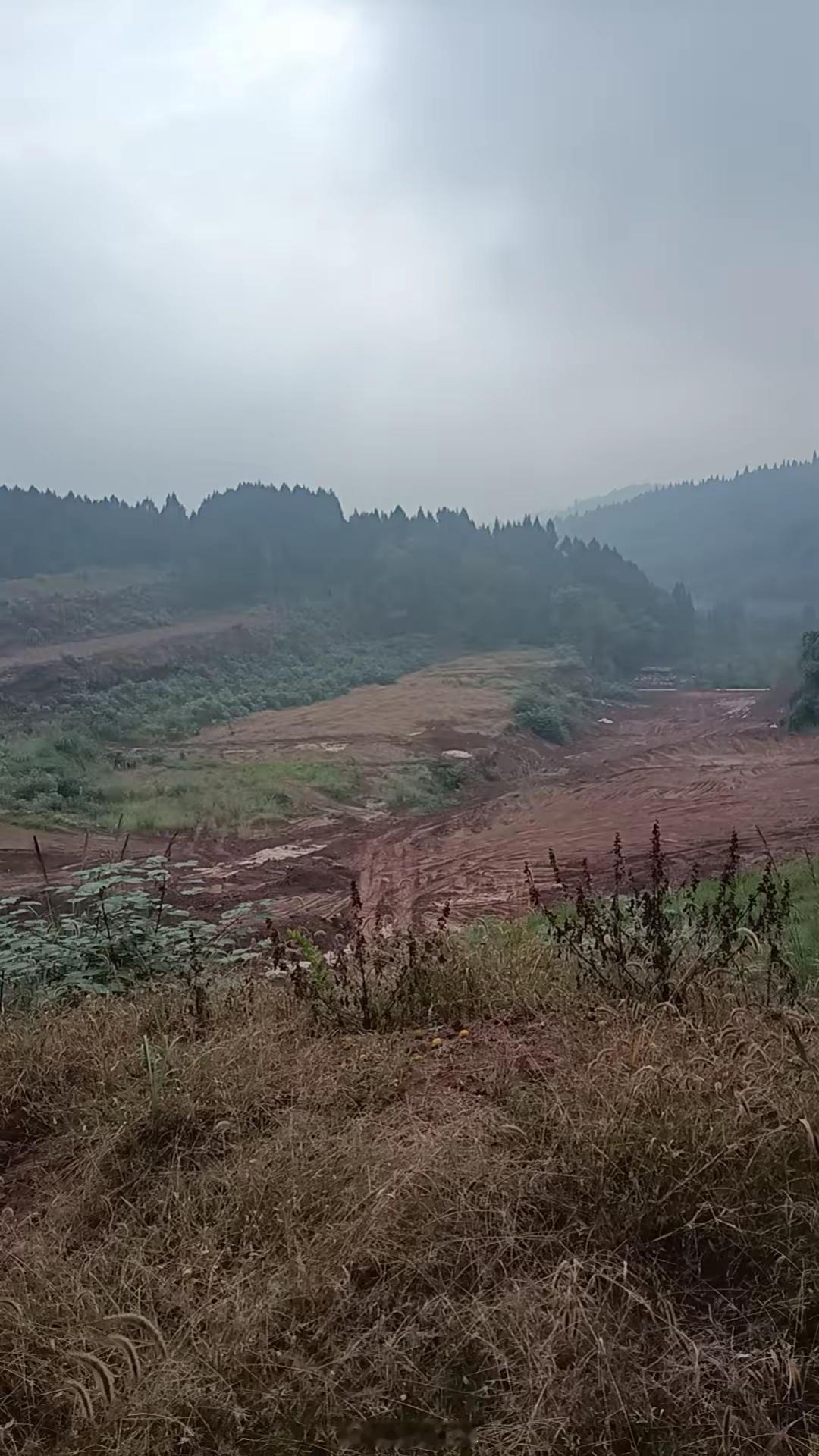 在股市里，价值投资是存在的，但情况比较复杂。价值投资是成熟的投资哲学，像格雷厄姆