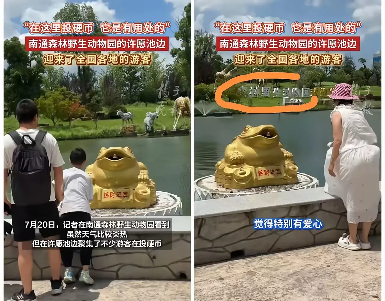 经过南通森林野生动物园为女孩捐许愿池里的硬币后，大家纷纷来到这里打卡，这一刻大家