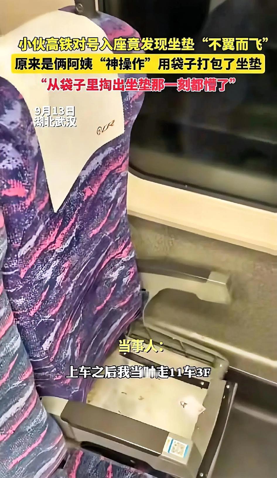 大妈以一己之力可能推动高铁动车出新规:严厉禁止乘客拆卸挪盗高铁坐垫？武汉一