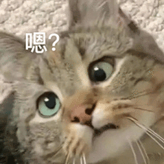 微信多项新功能看了下新功能，还是没有已发布内容可编辑，这个功能就这么难吗？