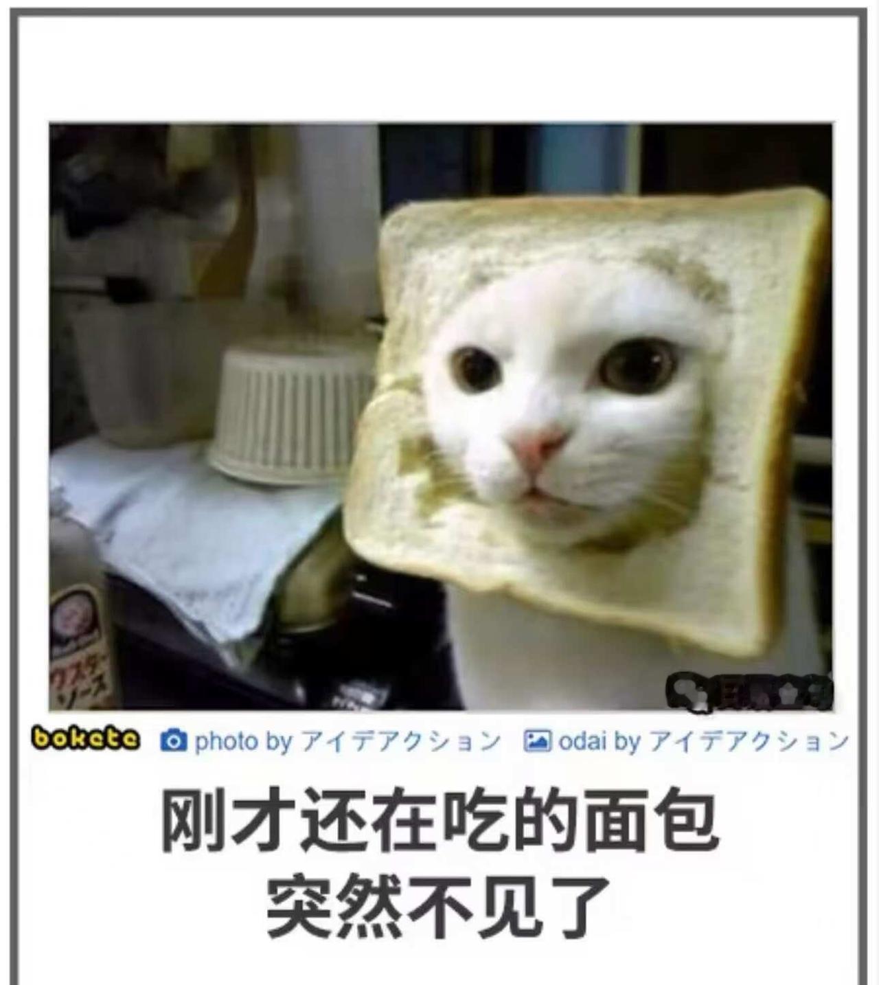 来点梗图20看梗图只有一次和阿帕次梗图meme