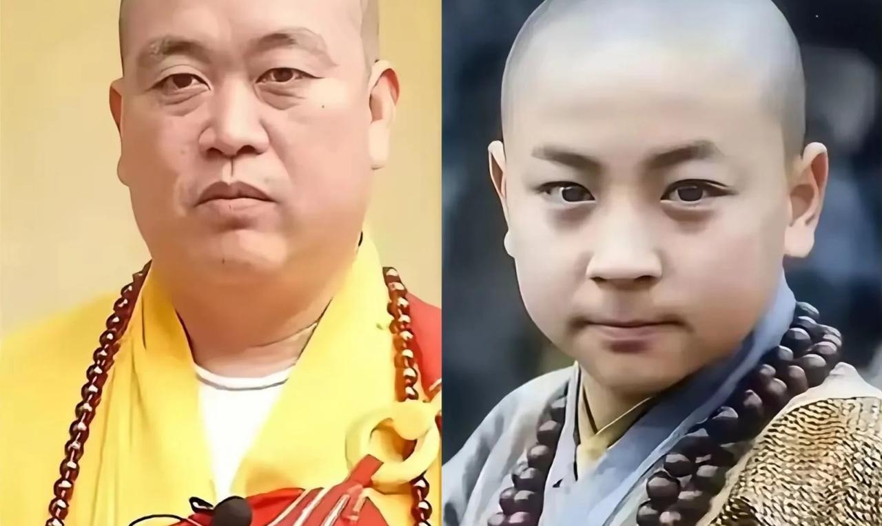 释小龙原来是释永信的大弟子，看来释永信处心积虑构筑的这个少林帝国复杂程度之高令人