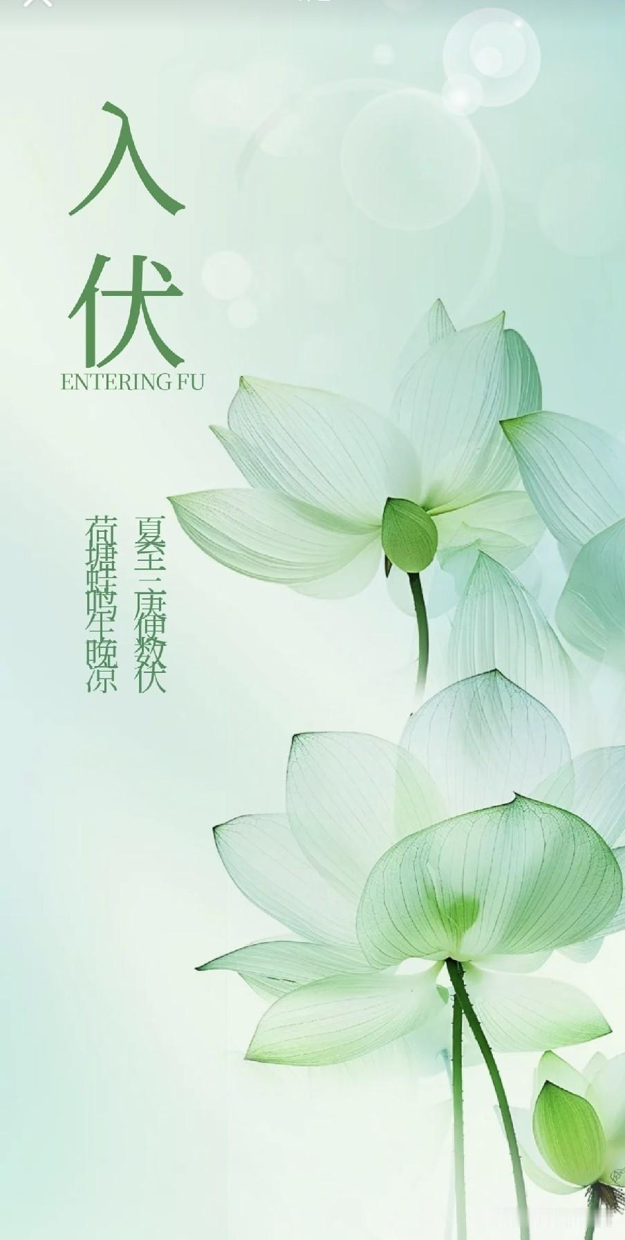 今日入伏是“凶日”，牢记：1不吃、2不洗、3不睡、4不坐农谚道：“小暑大暑