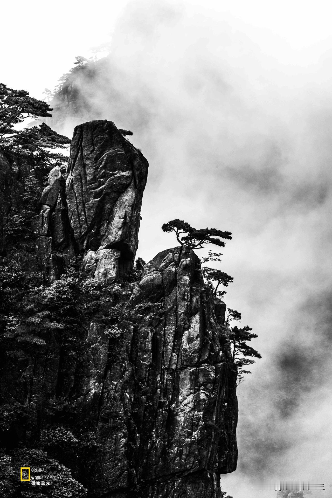 烟雨漫黄山，奇峰入黑白画卷。嶙峋怪石刺破云雾，苍劲青松傲立崖巅。雾霭流转之间，
